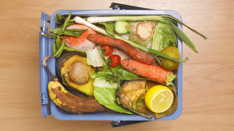 Rotten produce in waste bin