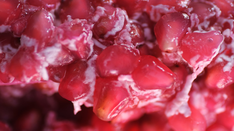 rotten frozen pomegranate seeds