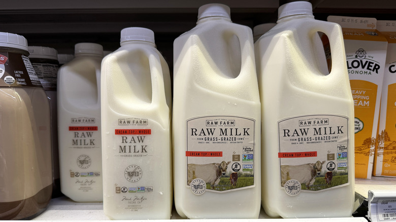 jugs of raw milk