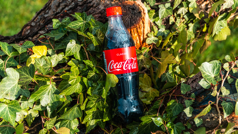 Half-liter plastic bottle of Coke laying on green leaves