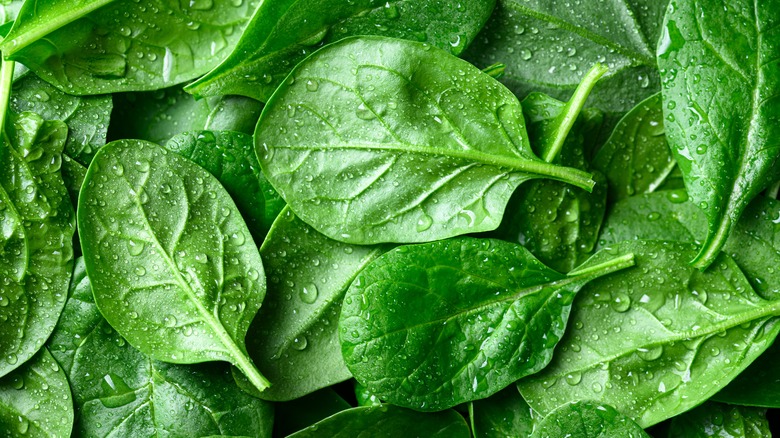 Spinach leaves