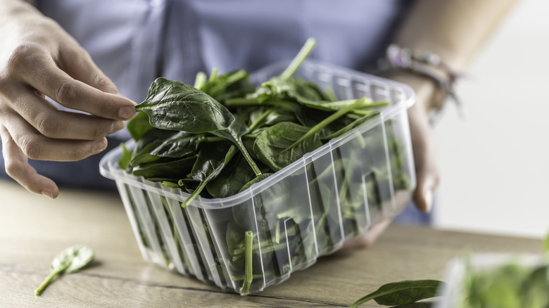 Hands holding package of spinach