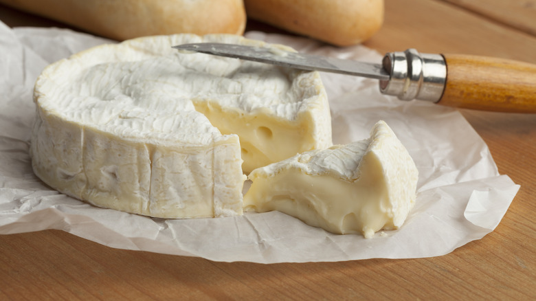 camembert cheese with knife