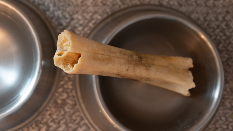 bone treat in pet bowl