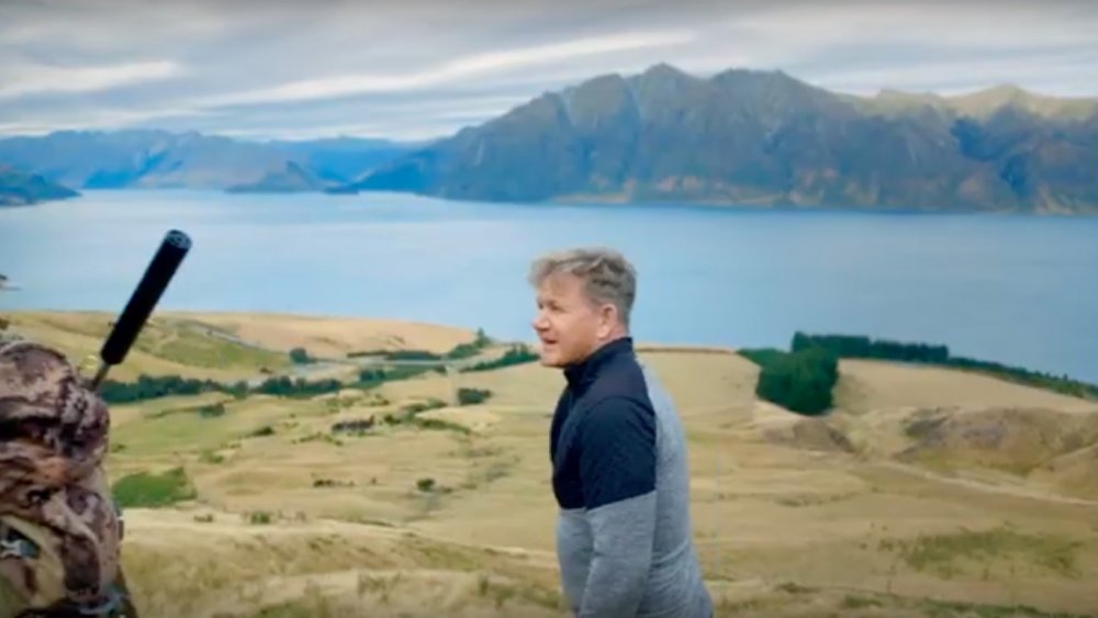 Gordon Ramsay New Zealand