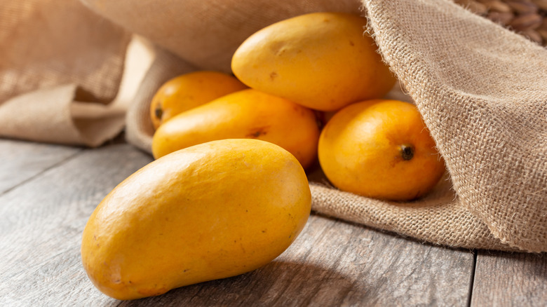 Sweet, yellow honey mangoes spilling out of burlap sack