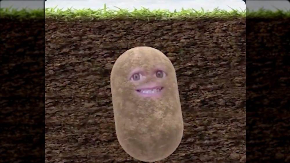 Taco Bell CEO as potato