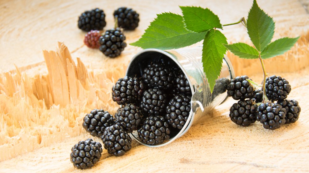 blackberries