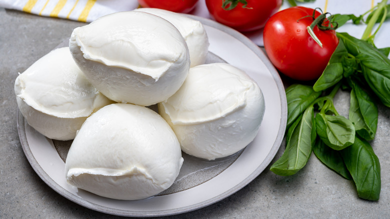 Burrata on a plate 