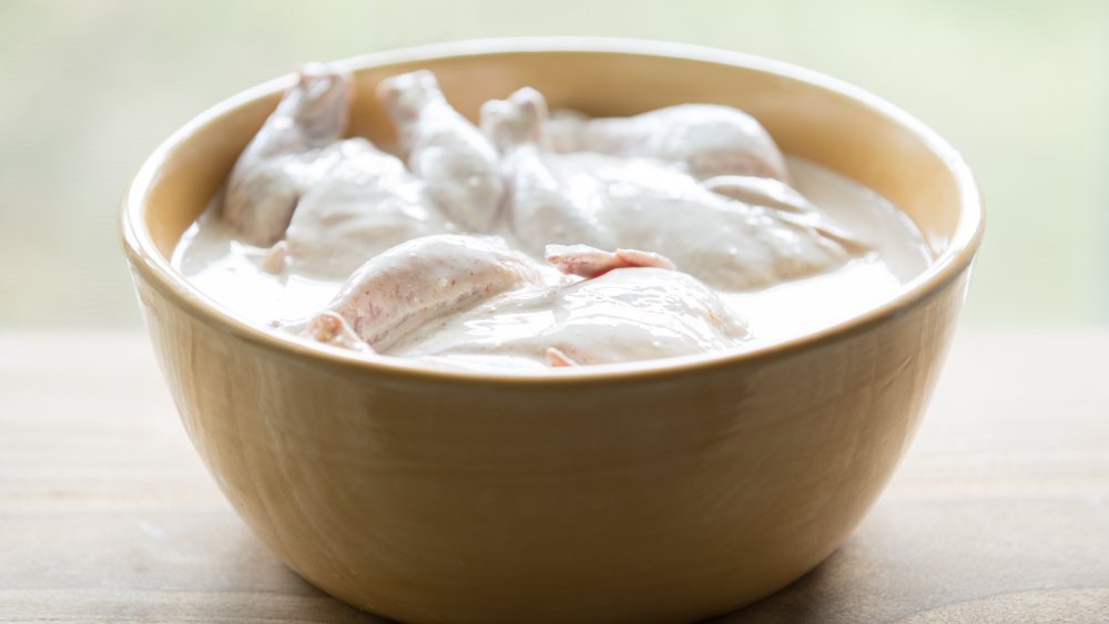 chicken soaking in buttermilk brine