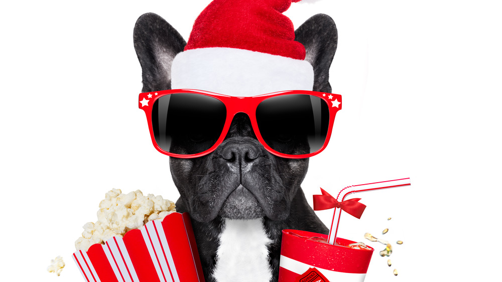 Santa dog with popcorn and soda