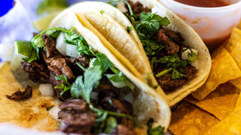 Tacos garnished with cilantro sprigs