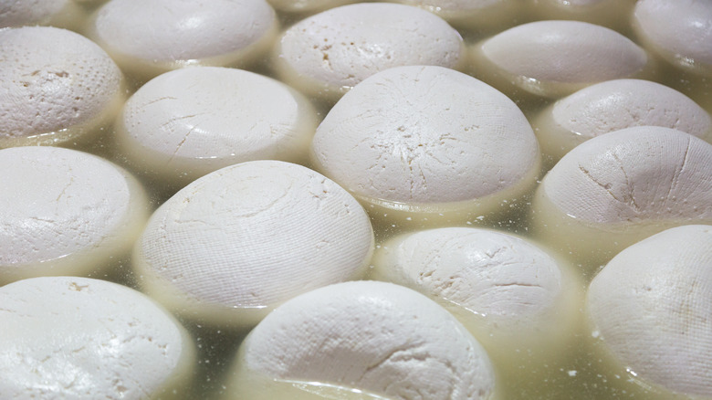 Mozzarella cheese in brine