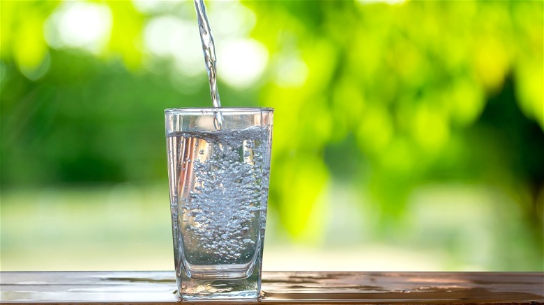 Water poured into glass with greenery backdrop