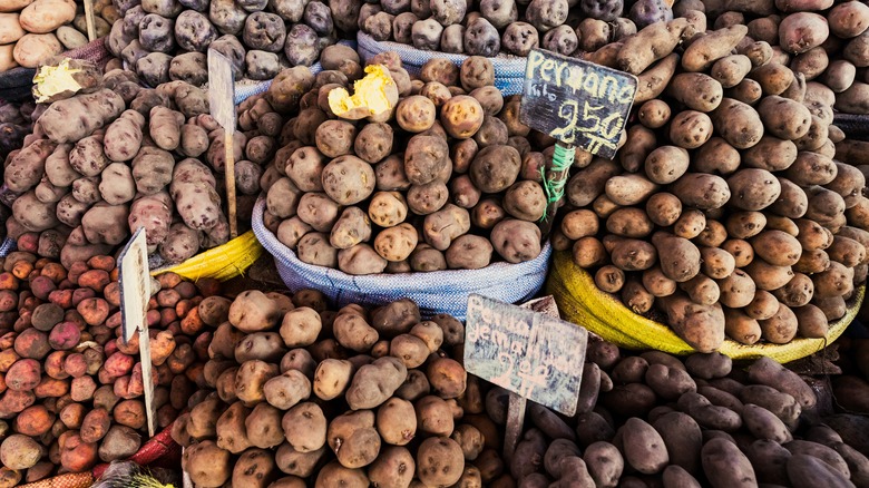 A variety of Peruvian potatoes