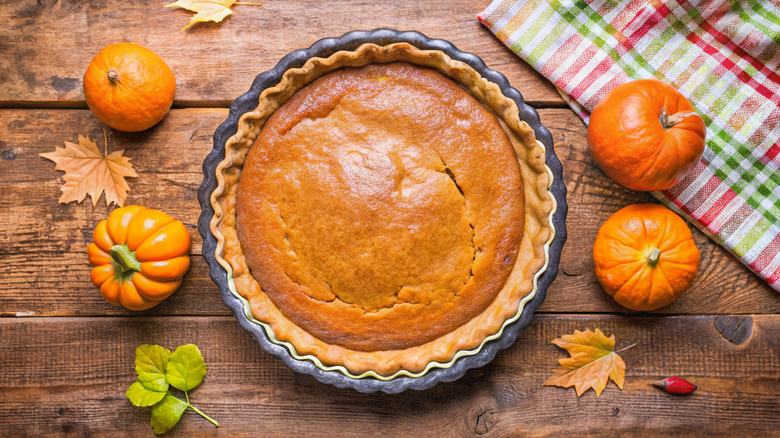 Baked pumpkin pie, surrounded by small pumpkins