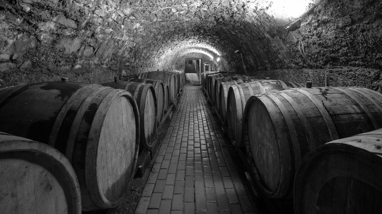 rows of wine barrels 