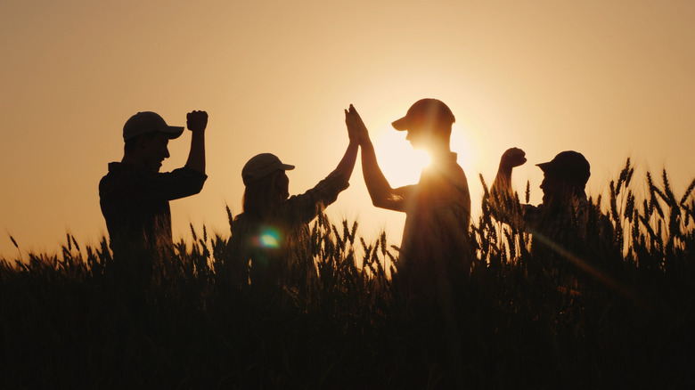 farmers celebrating in a field