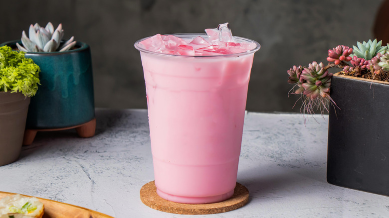 Pink drink on counter surrounded by succulents