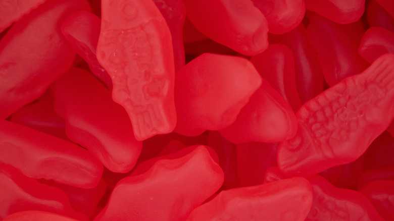 Close-up of Swedish fish candy