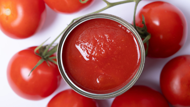 Overhead view of canned tomato sauce with tomatoes