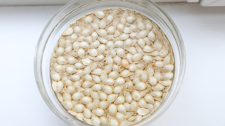 soaking pumpkin seeds in water