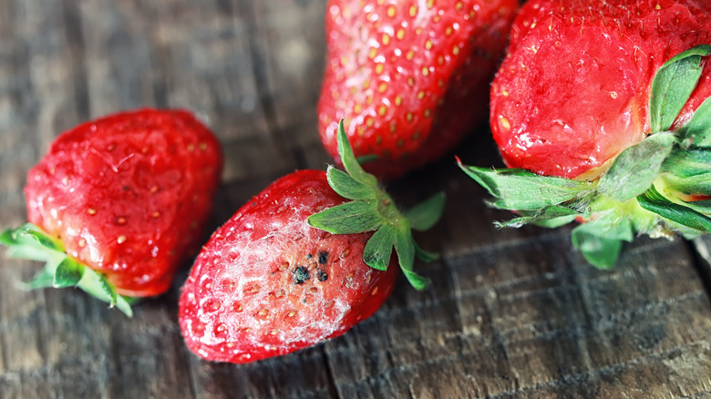 Rotting and moldy strawberries