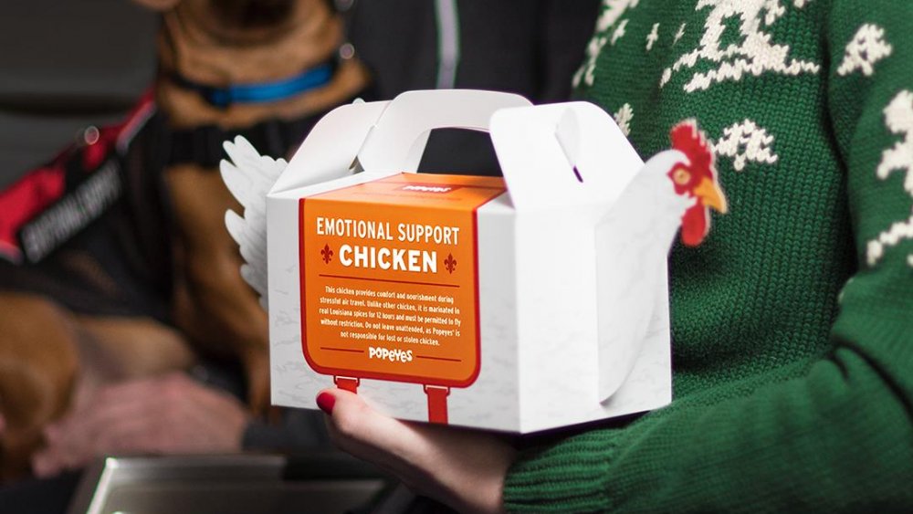 emotional support chicken for Popeyes' chicken sandwich