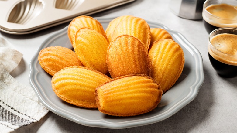 madeleines