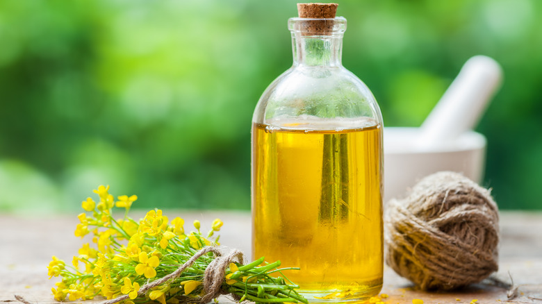 jar of canola oil