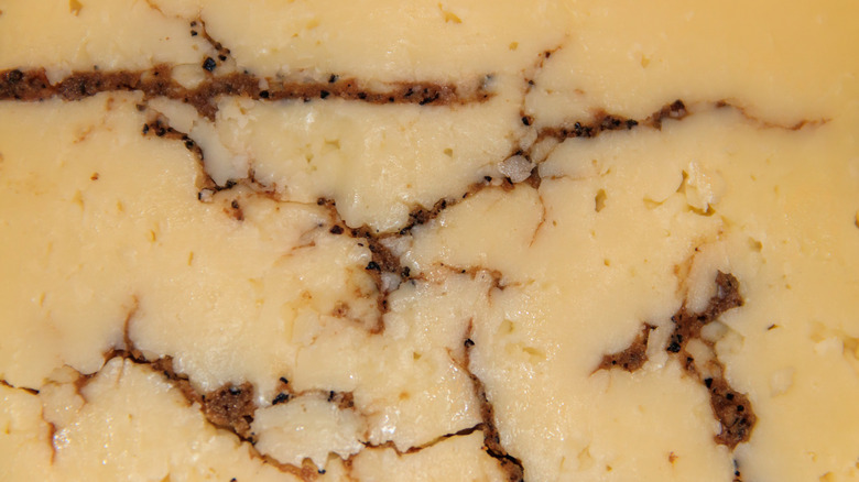 cheese with veins of black truffle