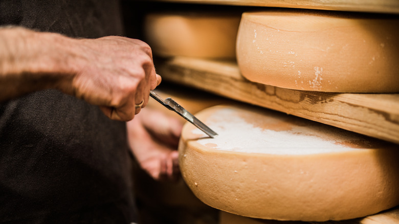 aging comté