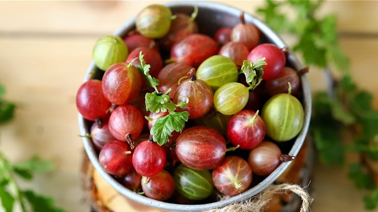 Dish of red and green goosberries