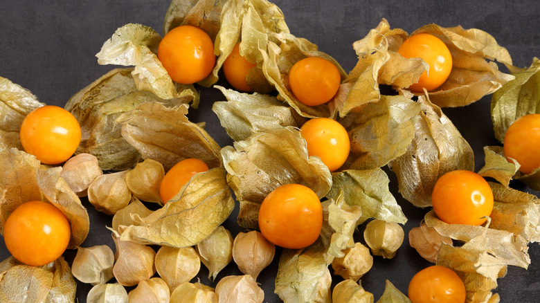 Ground cherries