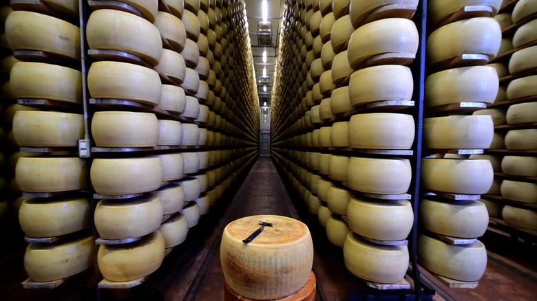 Racks of wheels of cheese in warehouse