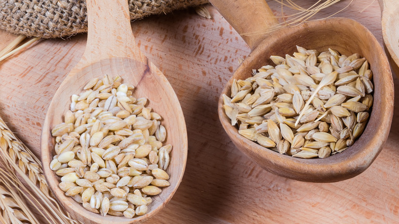 Pearl and hulled barley kernels