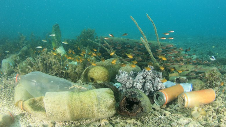 Plastic litter ocean 