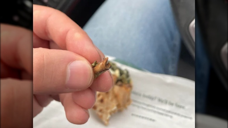 Item found in a Starbucks wrap