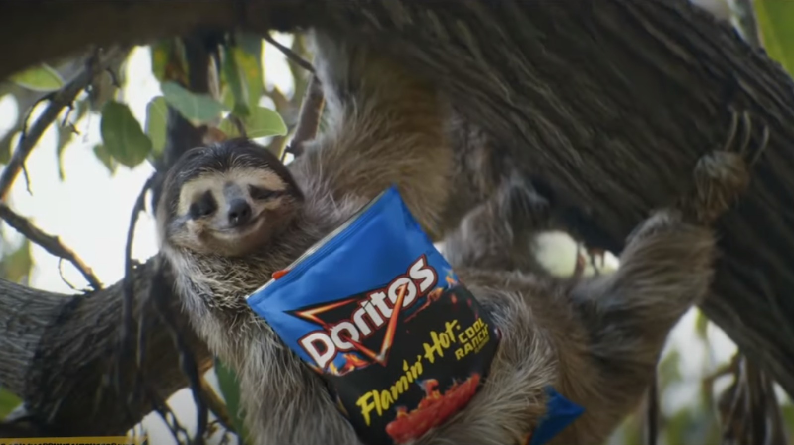 The Doritos 2022 Super Bowl Commercial Has Twitter Smiling