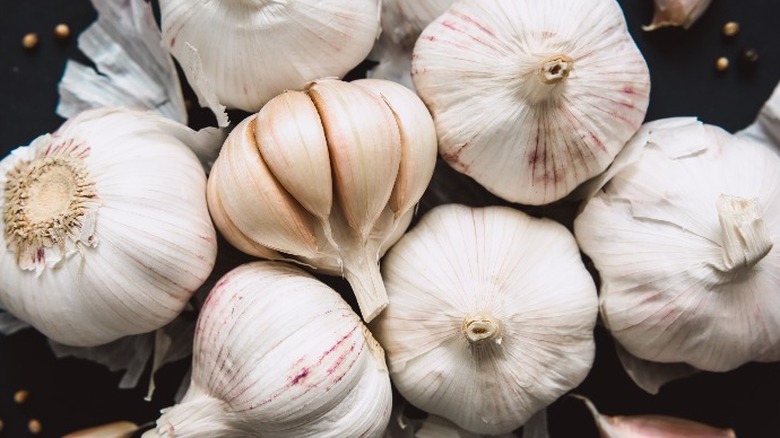 Bulbs of garlic