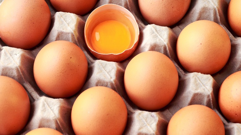 Brown eggs in an egg carton