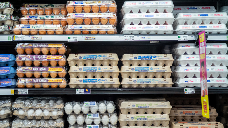 eggs carton shelf