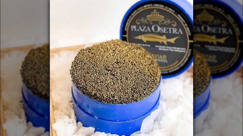 Osetra caviar container