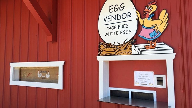 Egg vending machine at Glaum Egg Ranch