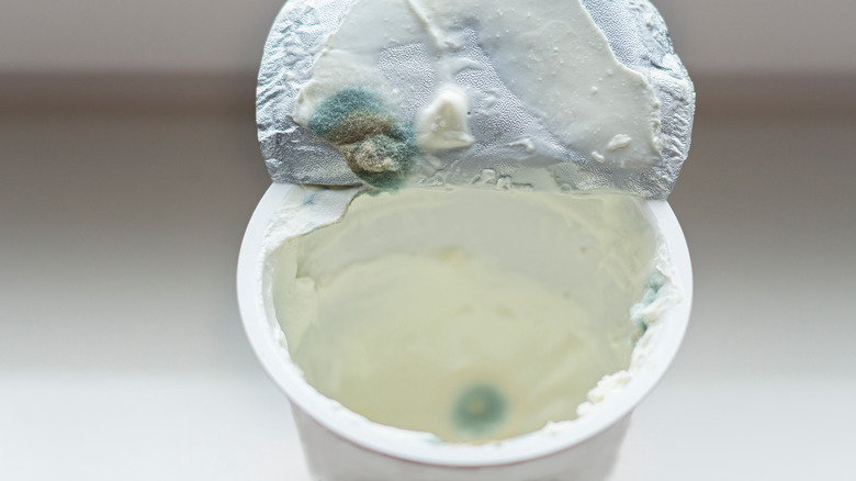 Sour cream with mold