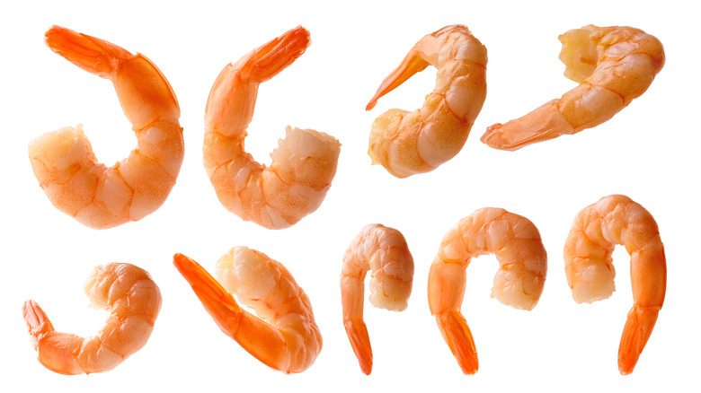 Boiled shrimp white background 