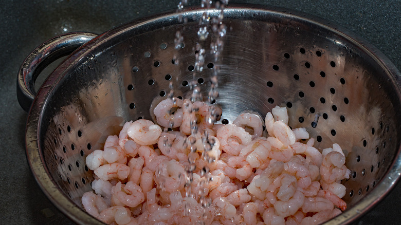 Frozen shrimp in colandar 