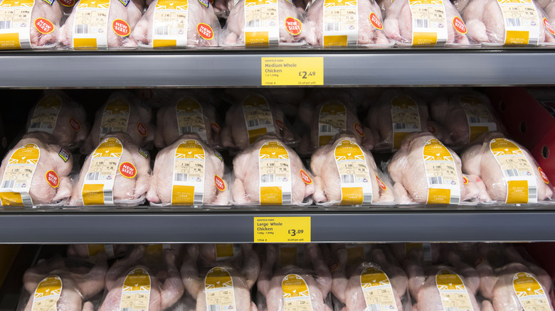 Raw whole chickens on grocery store shelves