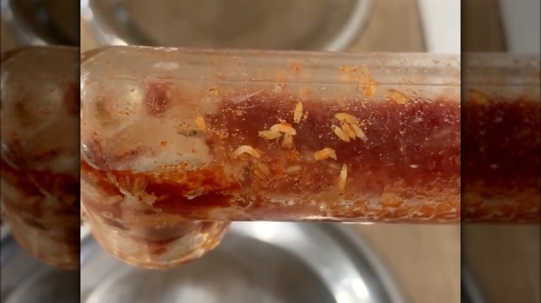 Maggots in McDonald's ketchup dispenser