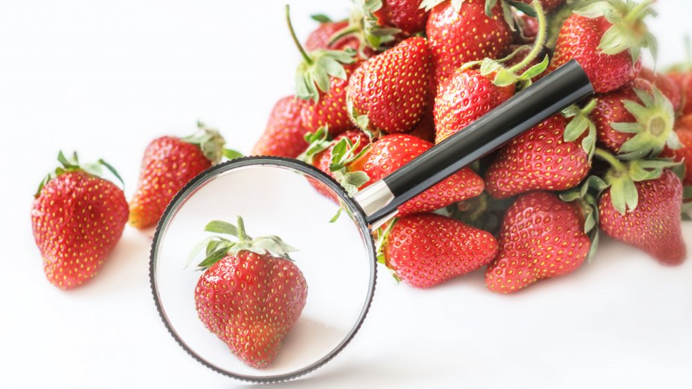 magnifying strawberries